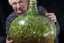 ديڤيد لاتيمر