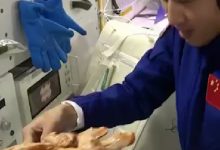 طاقما شنتشو 20 و21 يشوون الدجاج في الفضاء