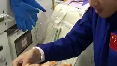 طاقما شنتشو 20 و21 يشوون الدجاج في الفضاء